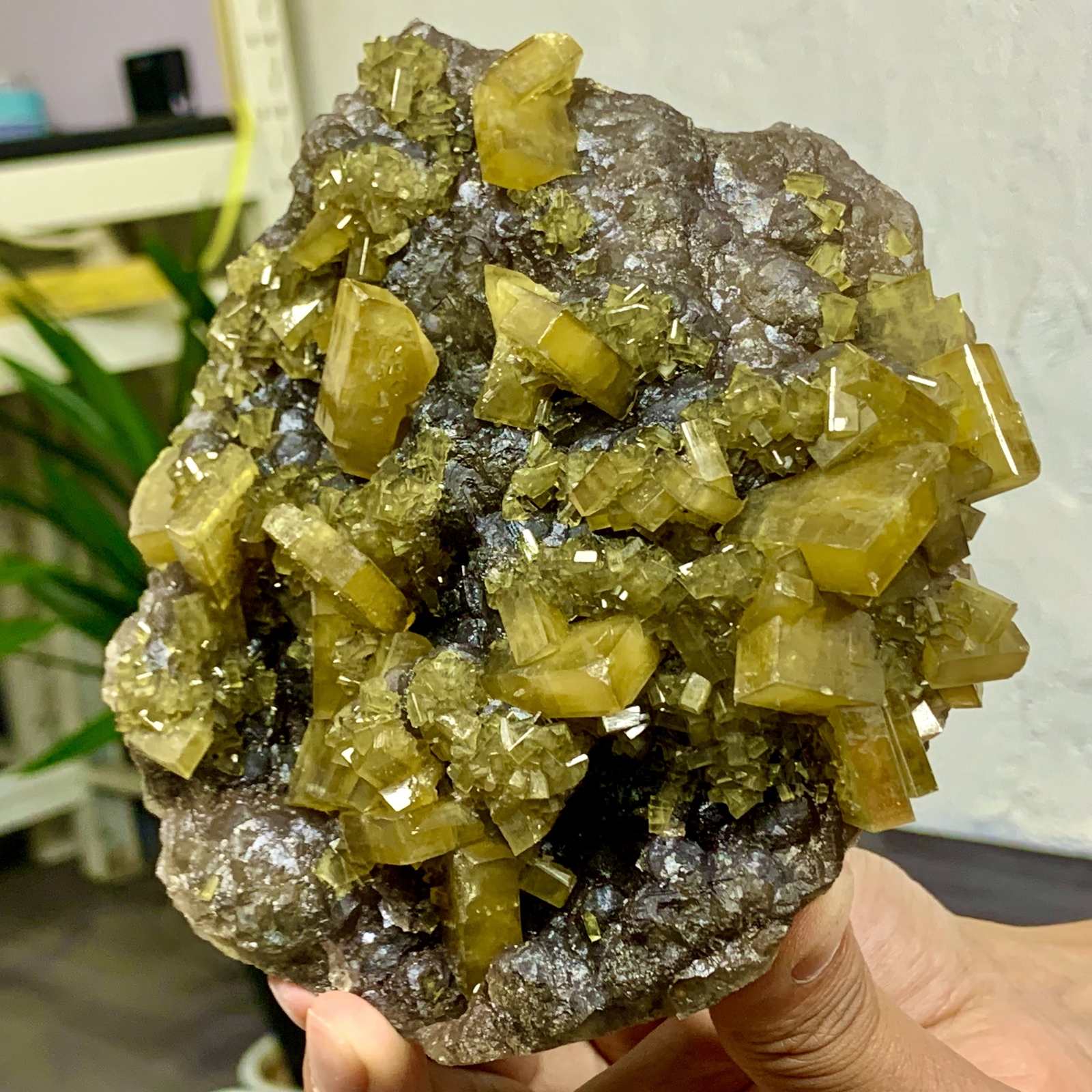 2.76LB Shiny Golden Cuboid Barite Crystal Based on the Purple Spherical Fluorite