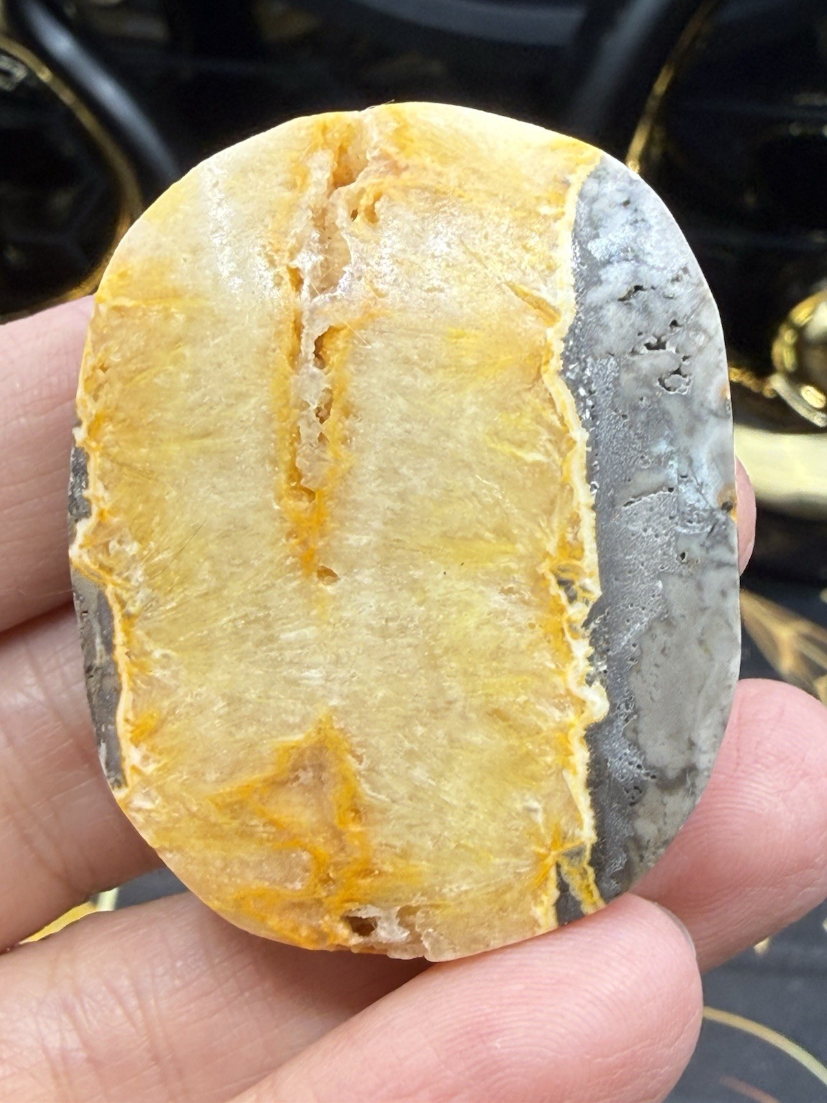 Natural Bumblebee Jasper Palms Druze vugs raw Free shipping