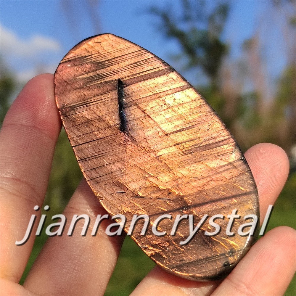 Rare Natural Labradorite Carved Phoenix Totem Quartz Crystal Skull Healing 1pc