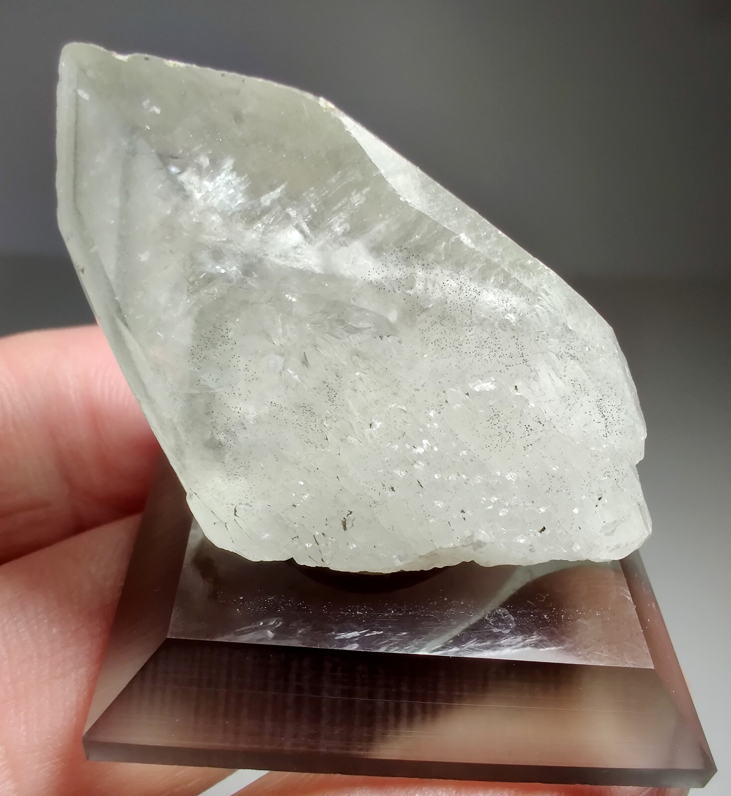 Phantom Calcite crystal with Marcasite. Vulcan Quarry, Racine, Wisconsin. 5 cm.