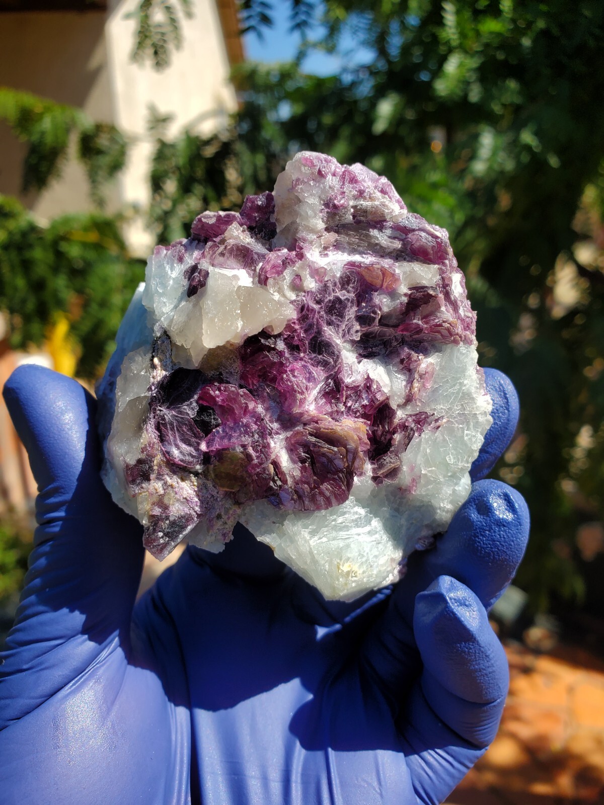 206G Natural purple lepidolite Crystal Specimen mineral A326 Mozambique