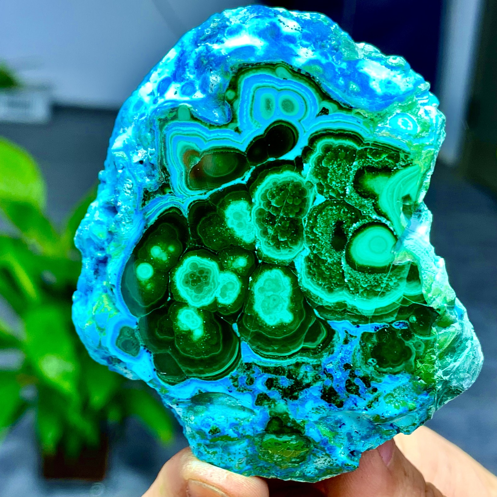 205G Natural Chrysocolla/Malachite transparent cluster rough mineral sample