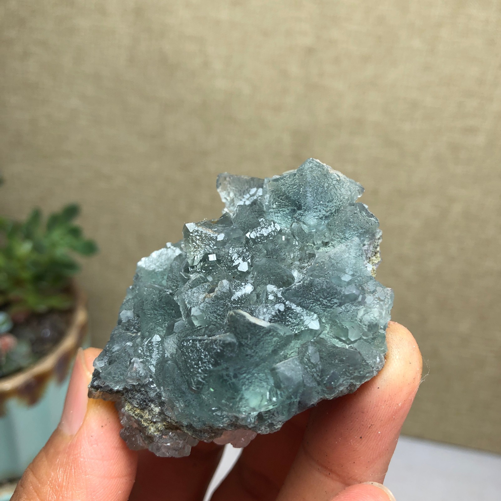 70g NATURAL Green Cubic FLUORITE Crystal Cluster Mineral Specimen A4740