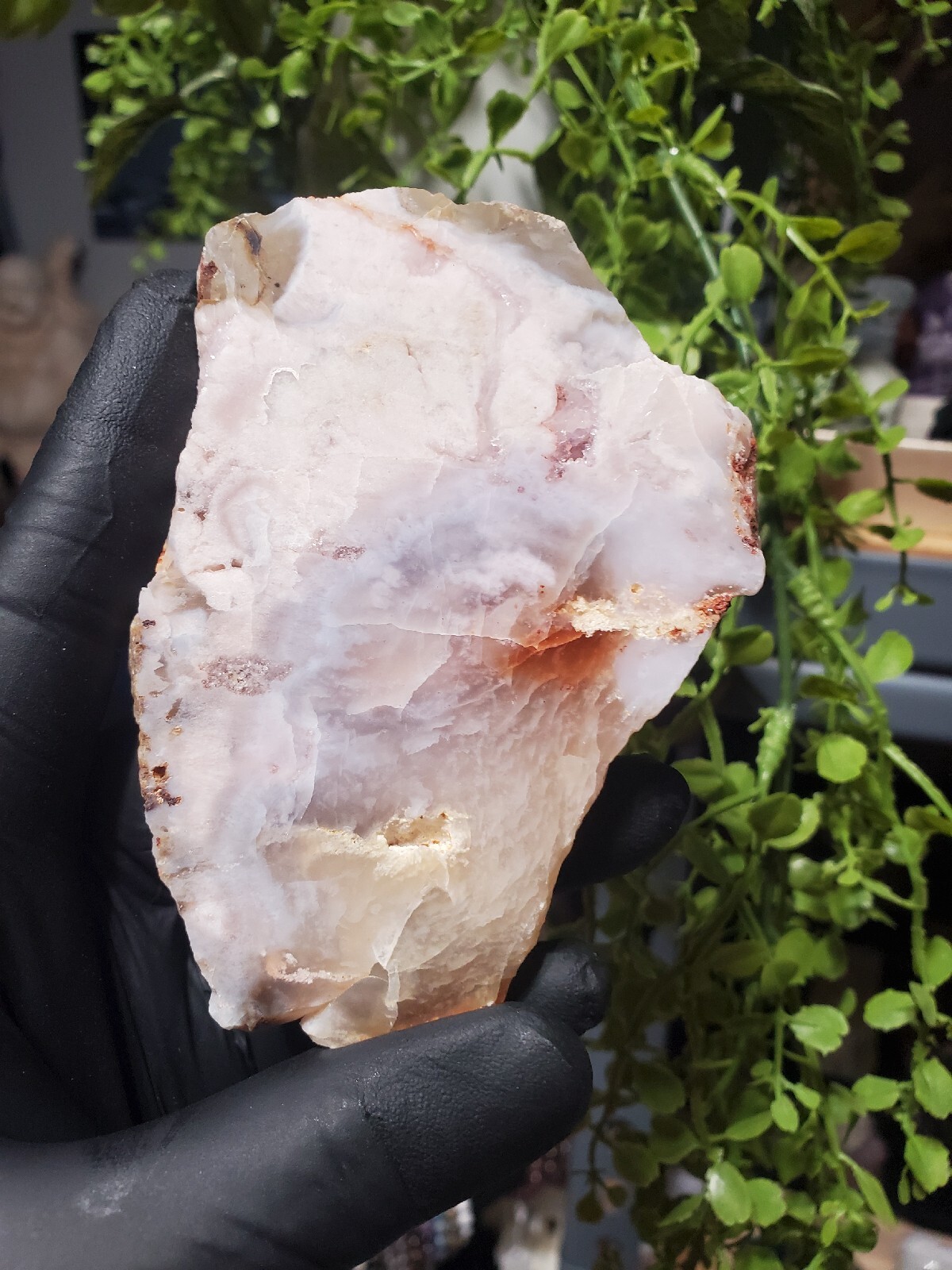 124g Beautiful Flower Agate Slice Slab Crystal Quartz Energy Healing Crystal