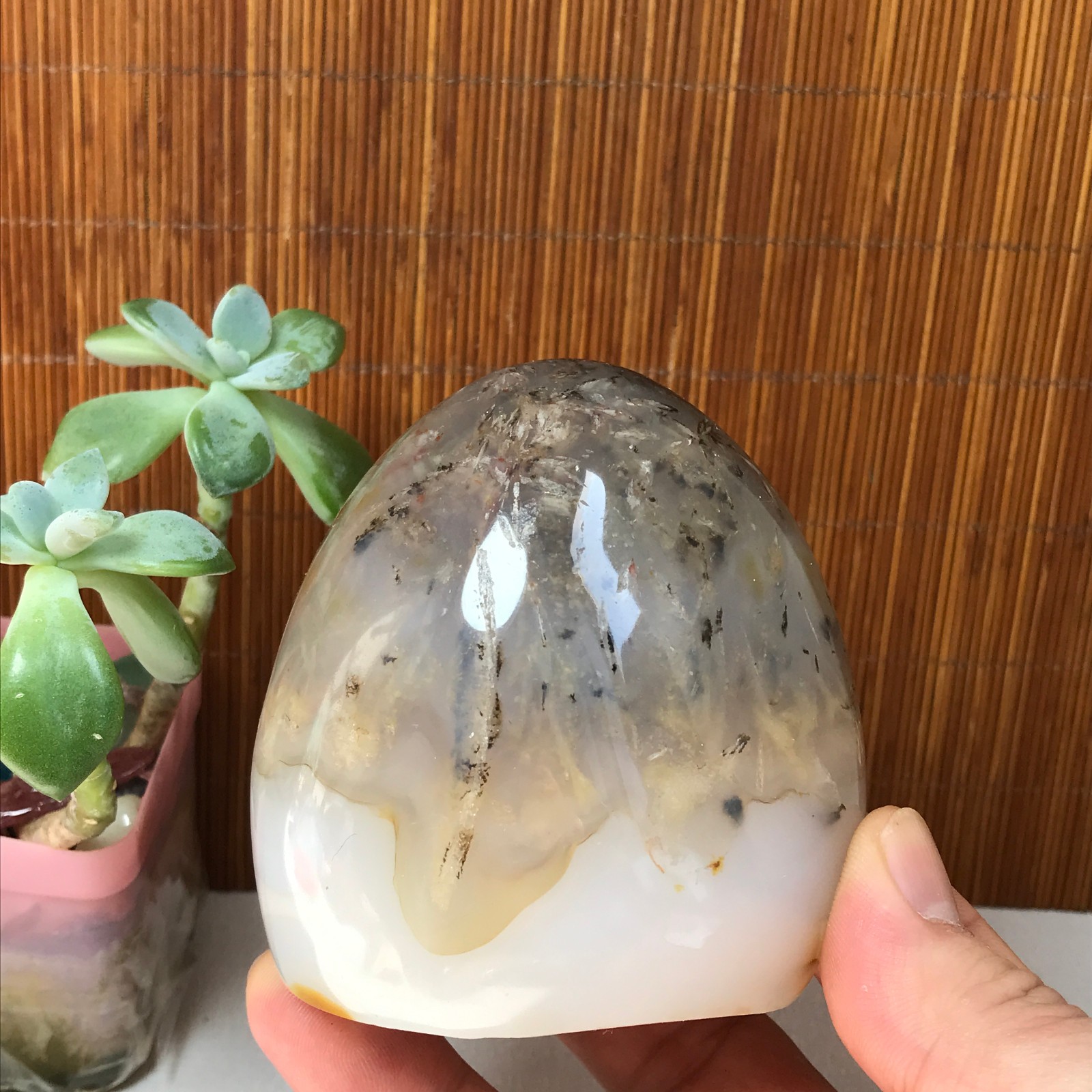 77-74-50mm Natural aquatic plants agate pretty Crystal specimens 433g A1877