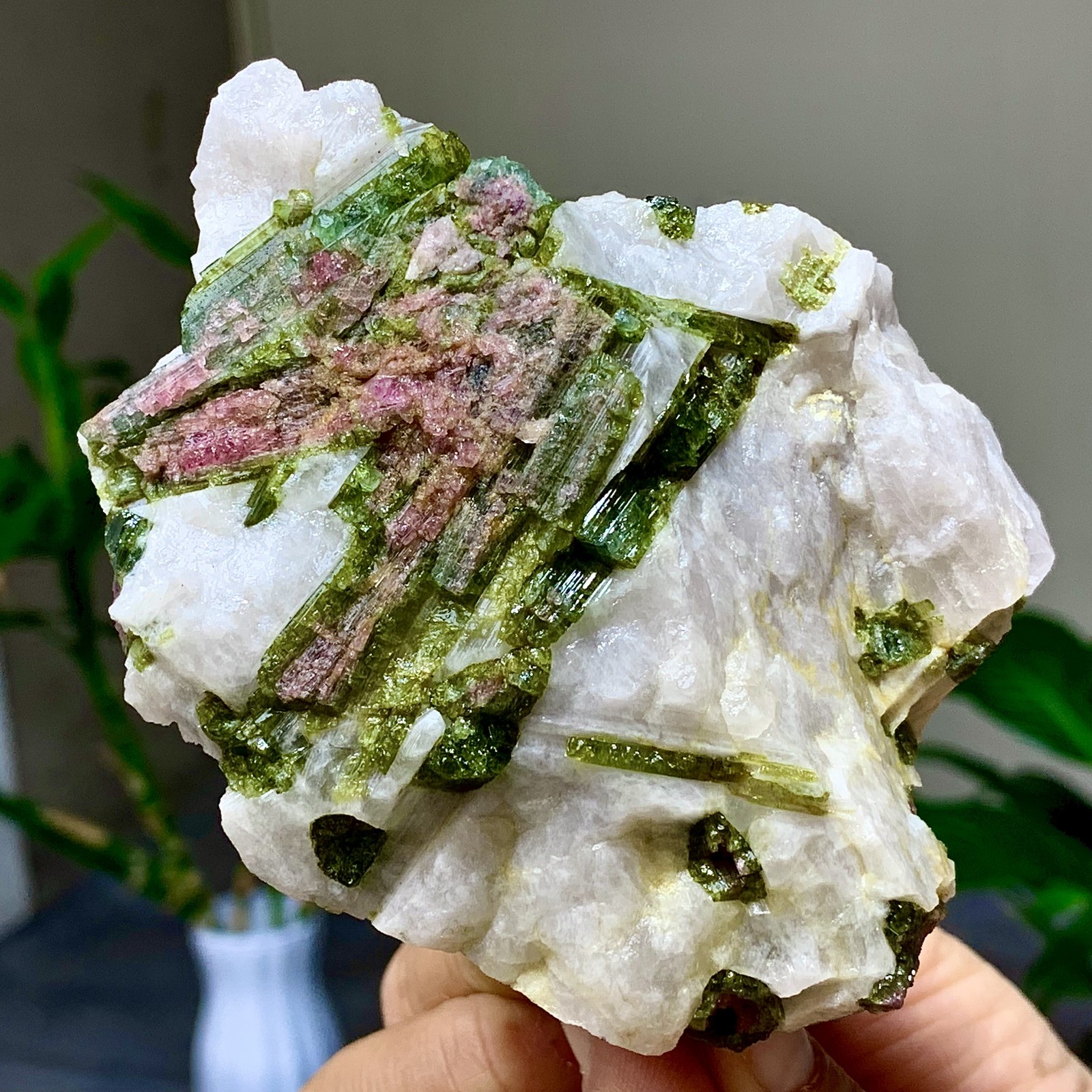 414G Natural Two tone watermelon tourmaline crystal cluster mineral specimen