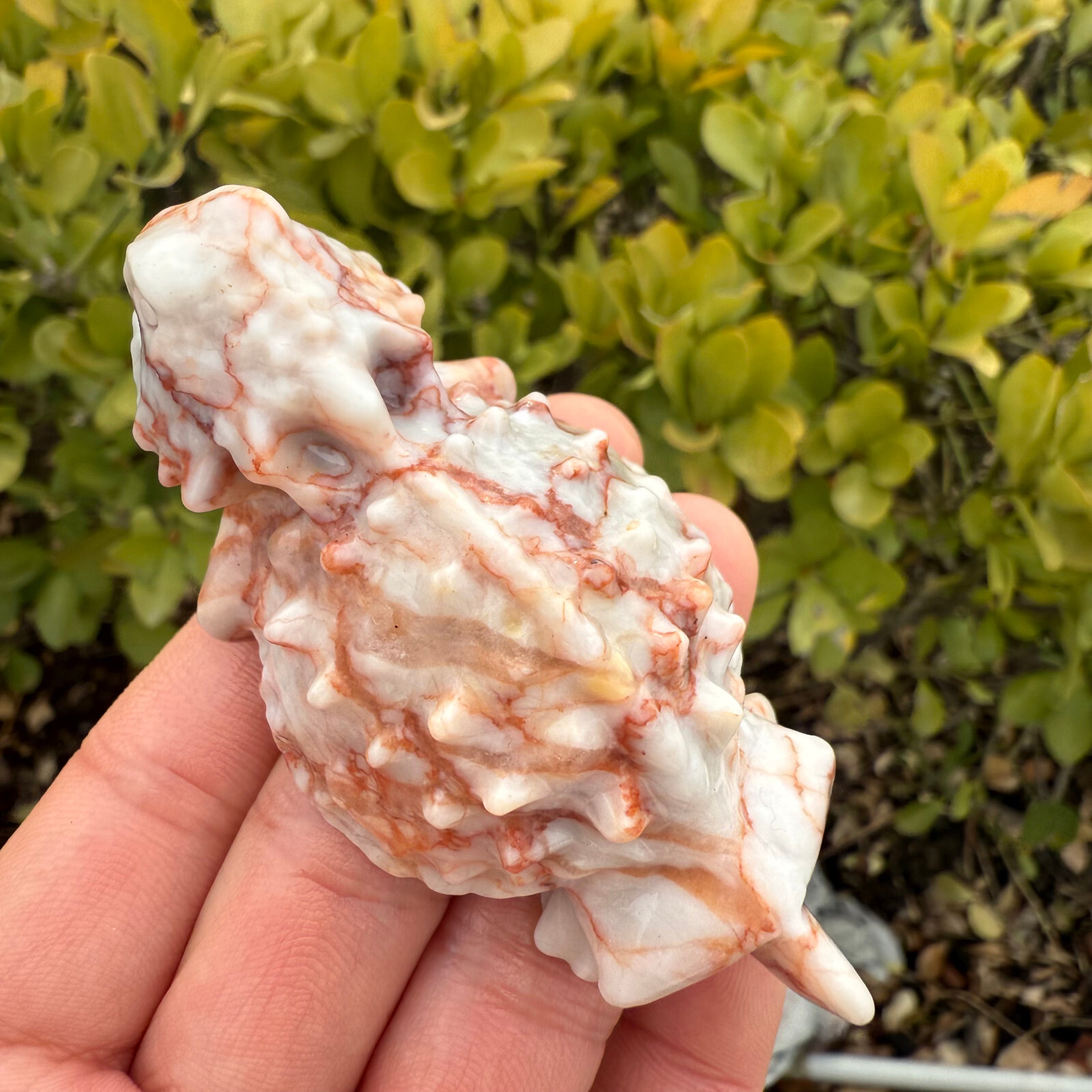 natural Red Network Stone lizard Skull Quartz Crystal Carved Reiki Healing