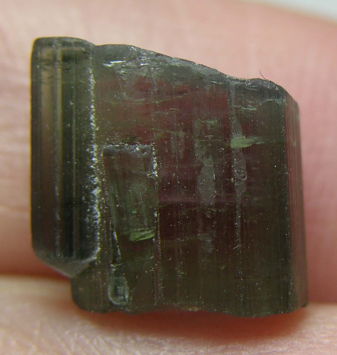 8.50ct Afghan 100%Natural Raw Watermelon Tourmaline Crystal Specimen 1.65g 11mm