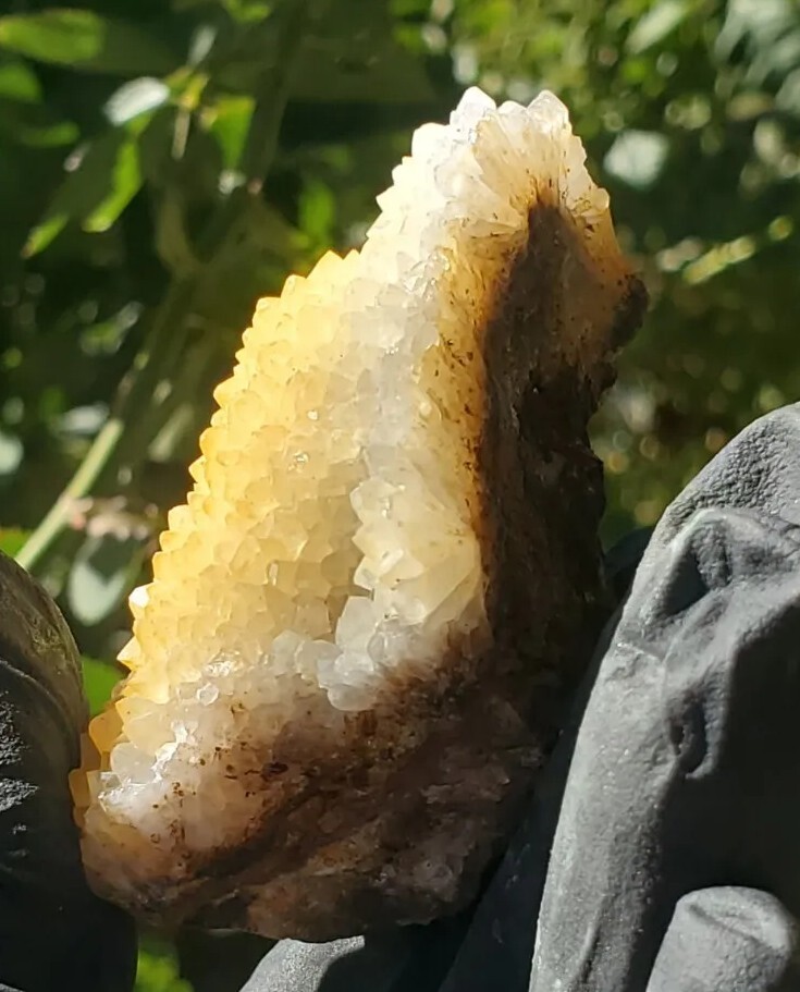Natural Golden Healer Cluster Specimen 70g