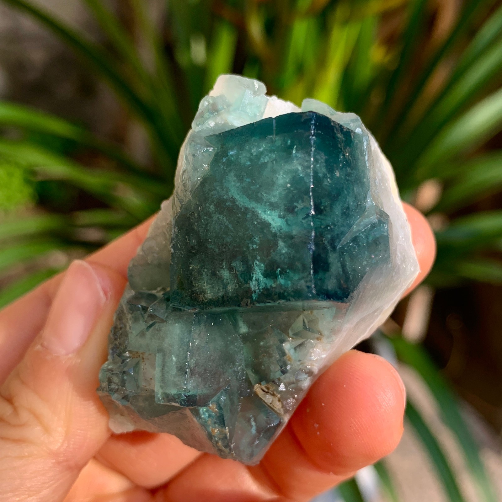 80g Natural beautiful green fluorite mineral specimens healing