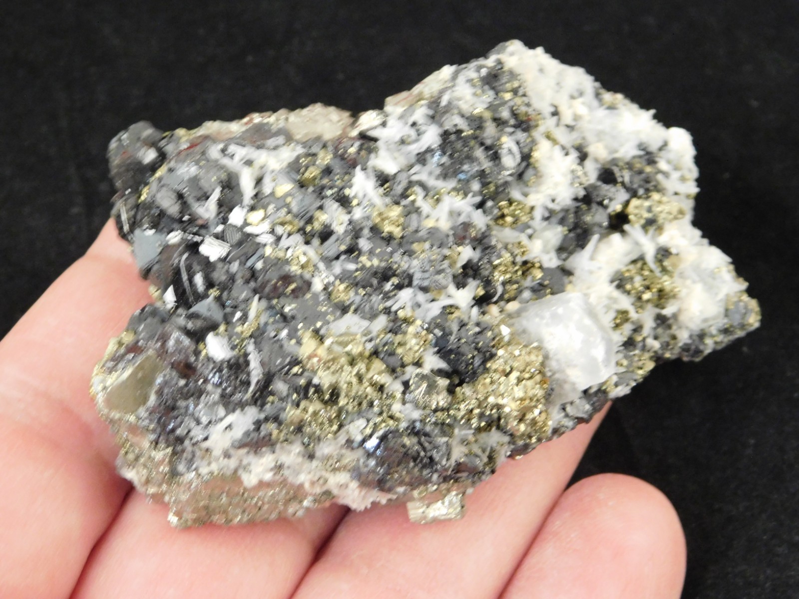 Sphalerite Crystal Cluster with Chalcopyrite Calcite and Pyrite 116gr