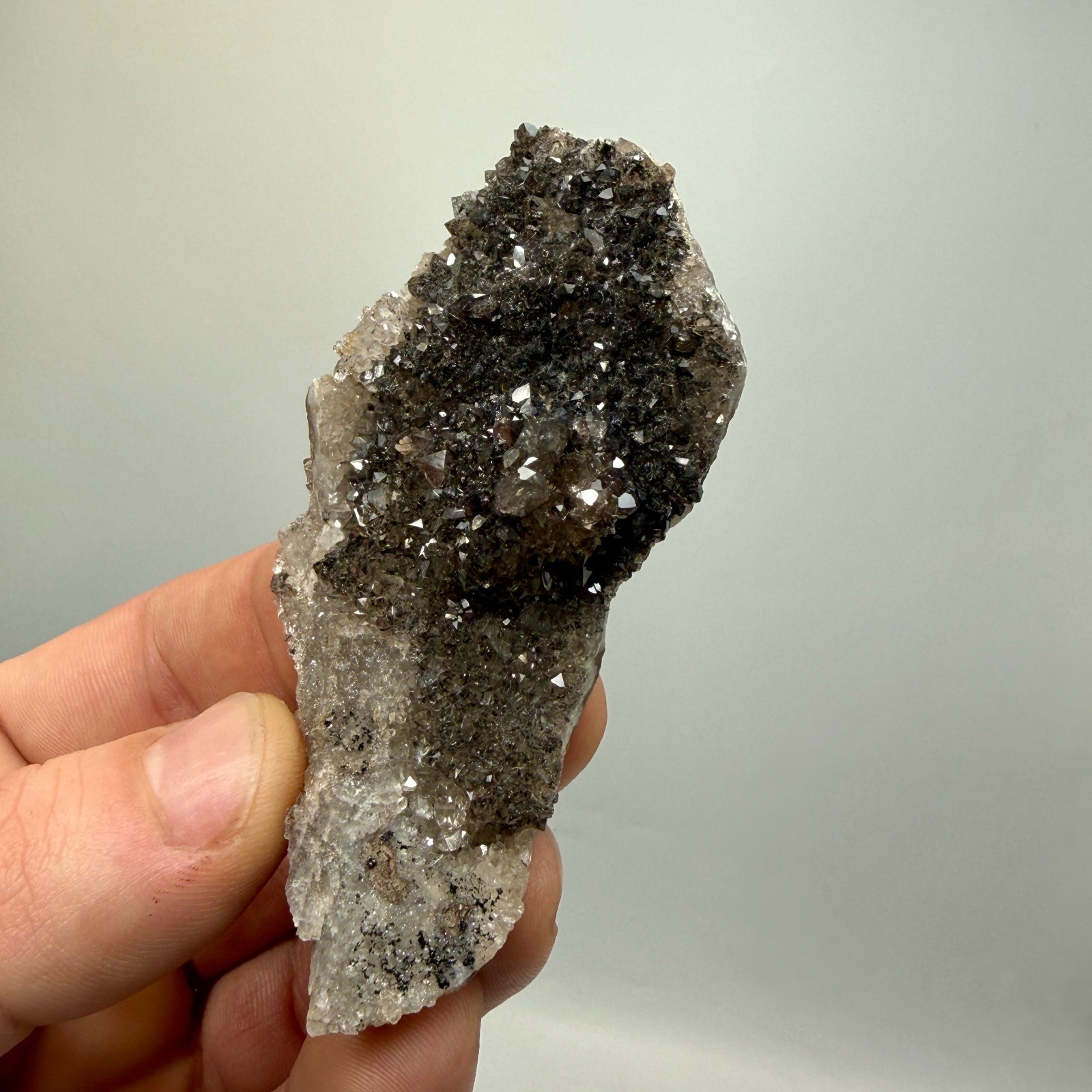 Black Druze with Hydrocarbon Phantom Percher Herkimer Diamonds, Rare Matrix!