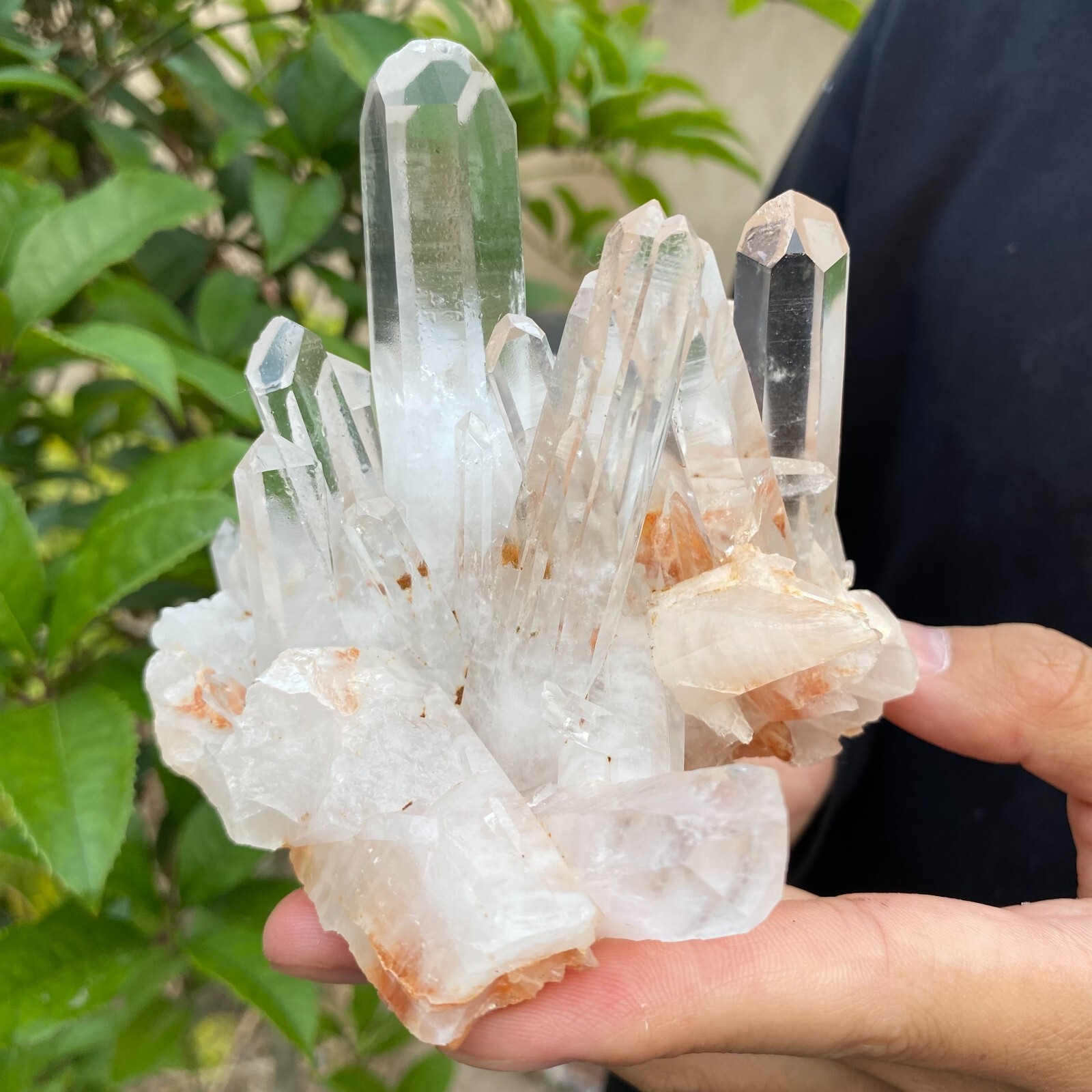 1.6lb Natural Clear White quart Crystal Cluster Raw Healing Specimen