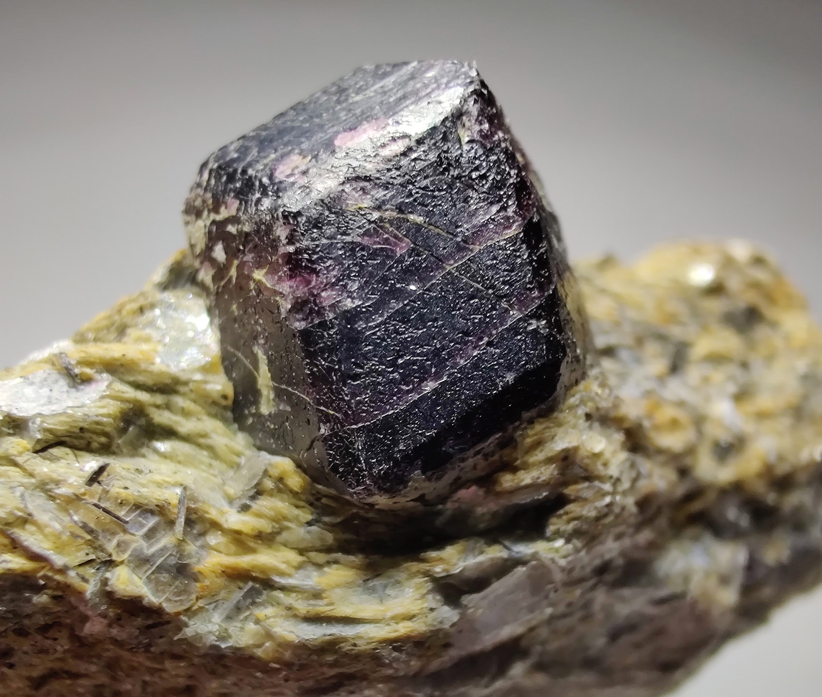 Garnet crystal on Schist, attractive specimen. 24 grams.