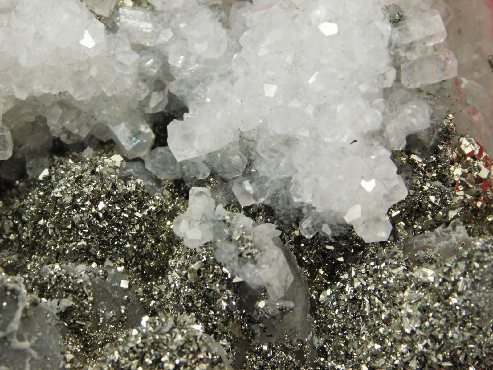 BIG! Pyrite Crystal Cluster on DOGTOOTH Calcite Crystals! From Mexico 1202gr