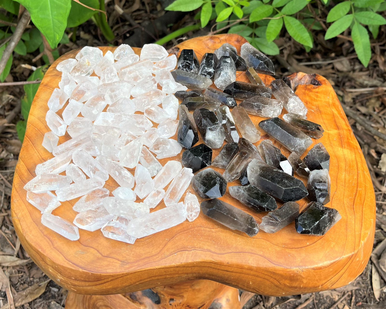 1/2 lb Bulk Wholesale Mixed Smoky & Quartz Crystal Points, Natural Clear Smokey
