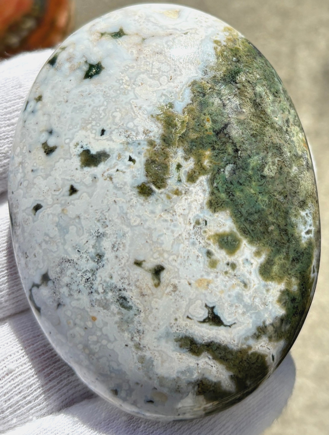 USA SALE 177g LOT OCEAN JASPER OJ PALMSTONES PALM STONE STONES PALMSTONE VIBRANT