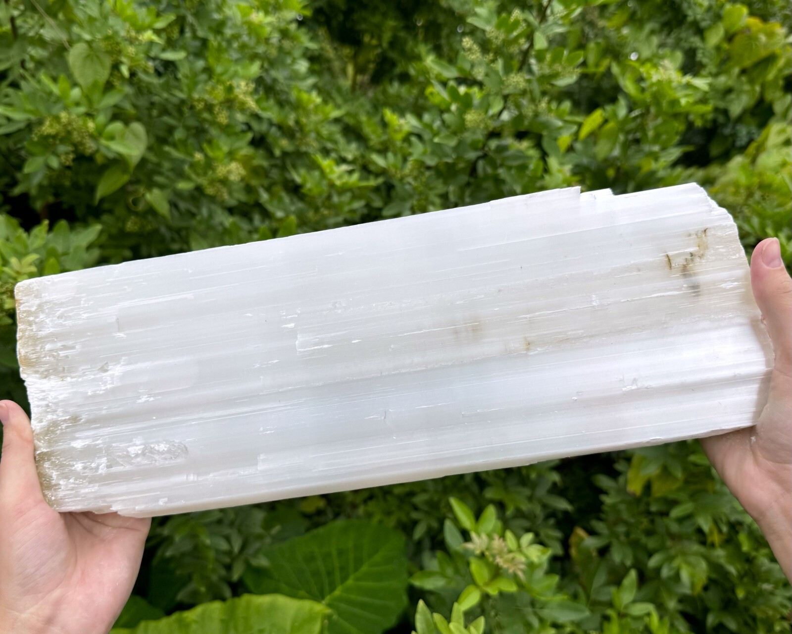 MASSIVE Selenite Logs – Natural White Selenite Crystals (HUGE Selenite Sticks)