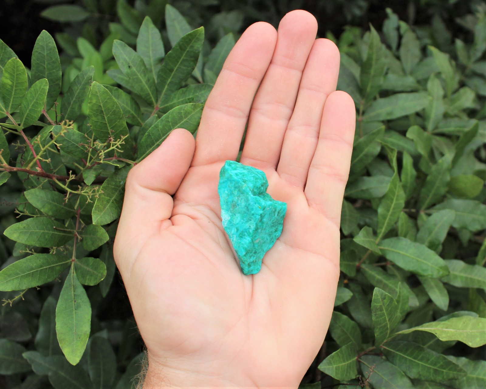 Turquoise Rough Natural Stones: Choose How Many (A Grade Raw Turquoise Crystals)