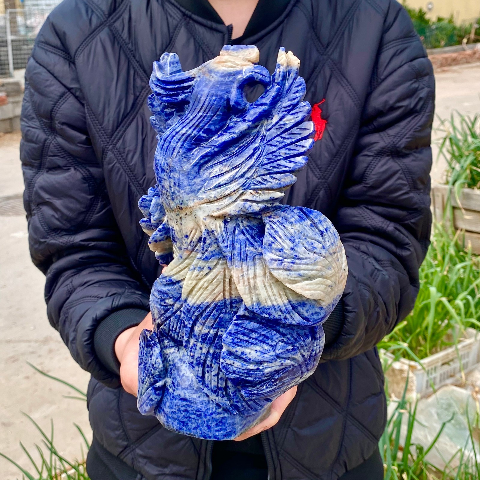7LB Natural Blue Texture Crystal Carving Phoenix Rose Spiritual Energy