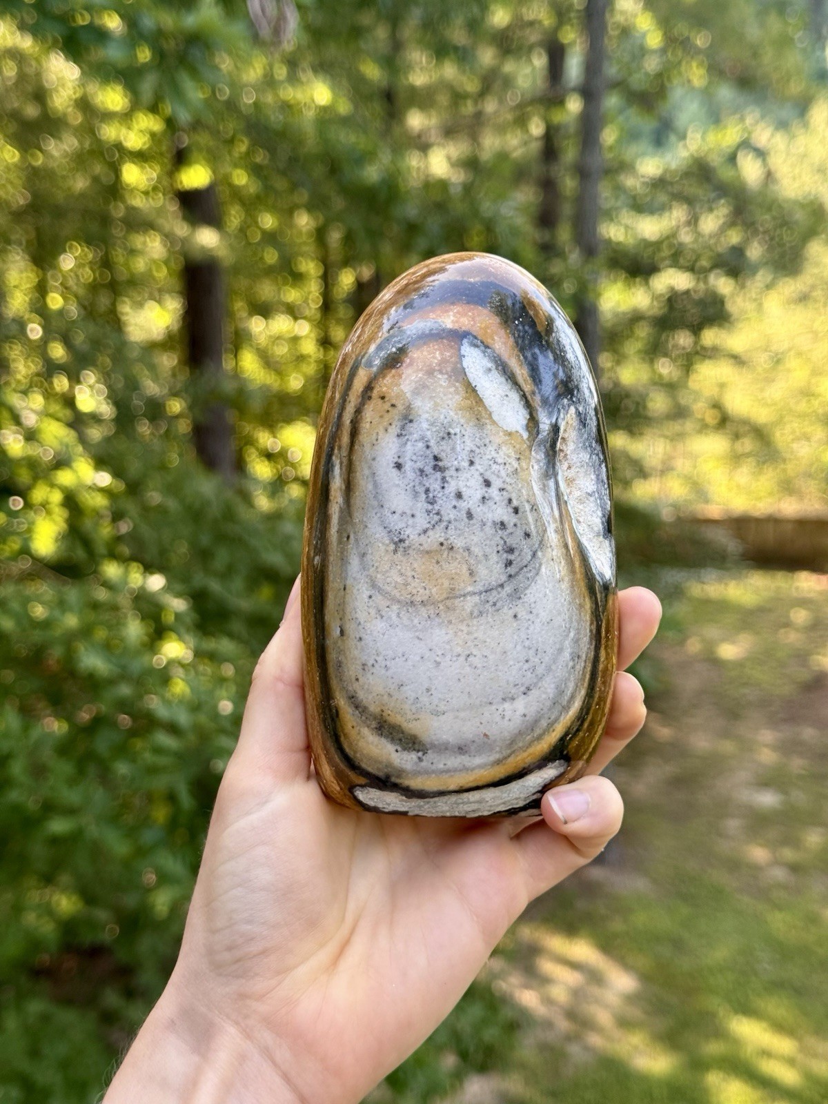 Large Polychrome Jasper Freeform 740g Polished Desert Jasper Display Stone