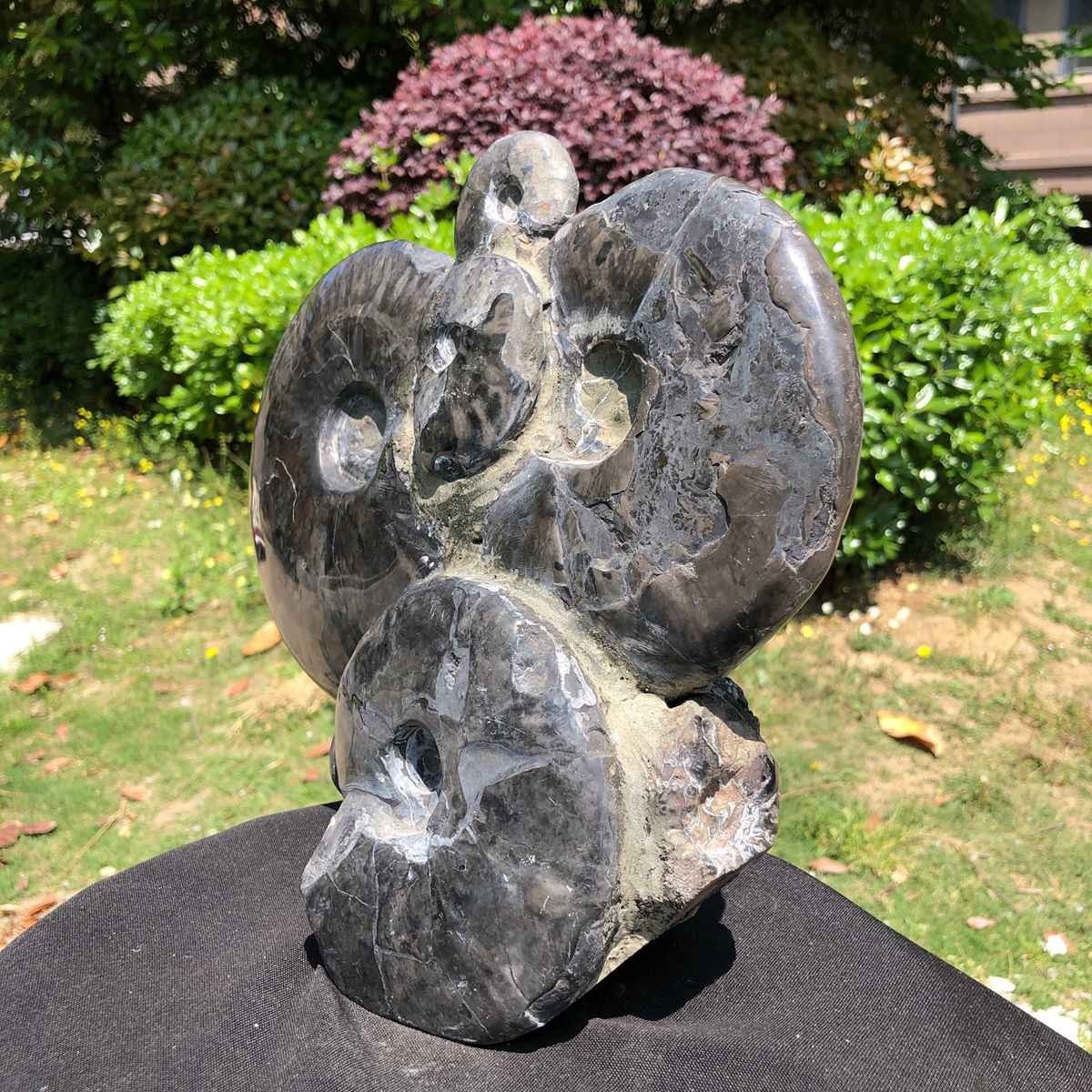 10.6LB Natural Beautiful Ammonite Fossil Conch Crystal Specimen Healing 5102