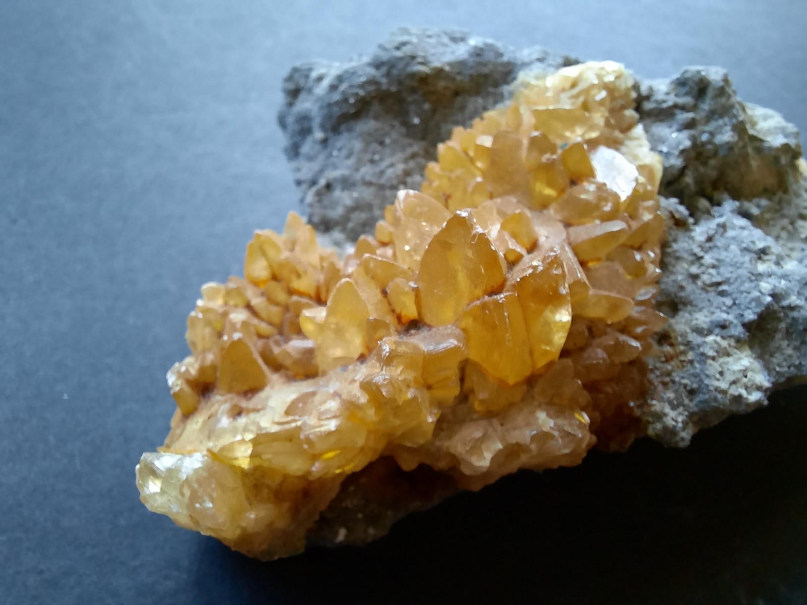Golden Yellow Honey Calcite Crystals on Fossil Mangrove Clam Shell Rucks Pit