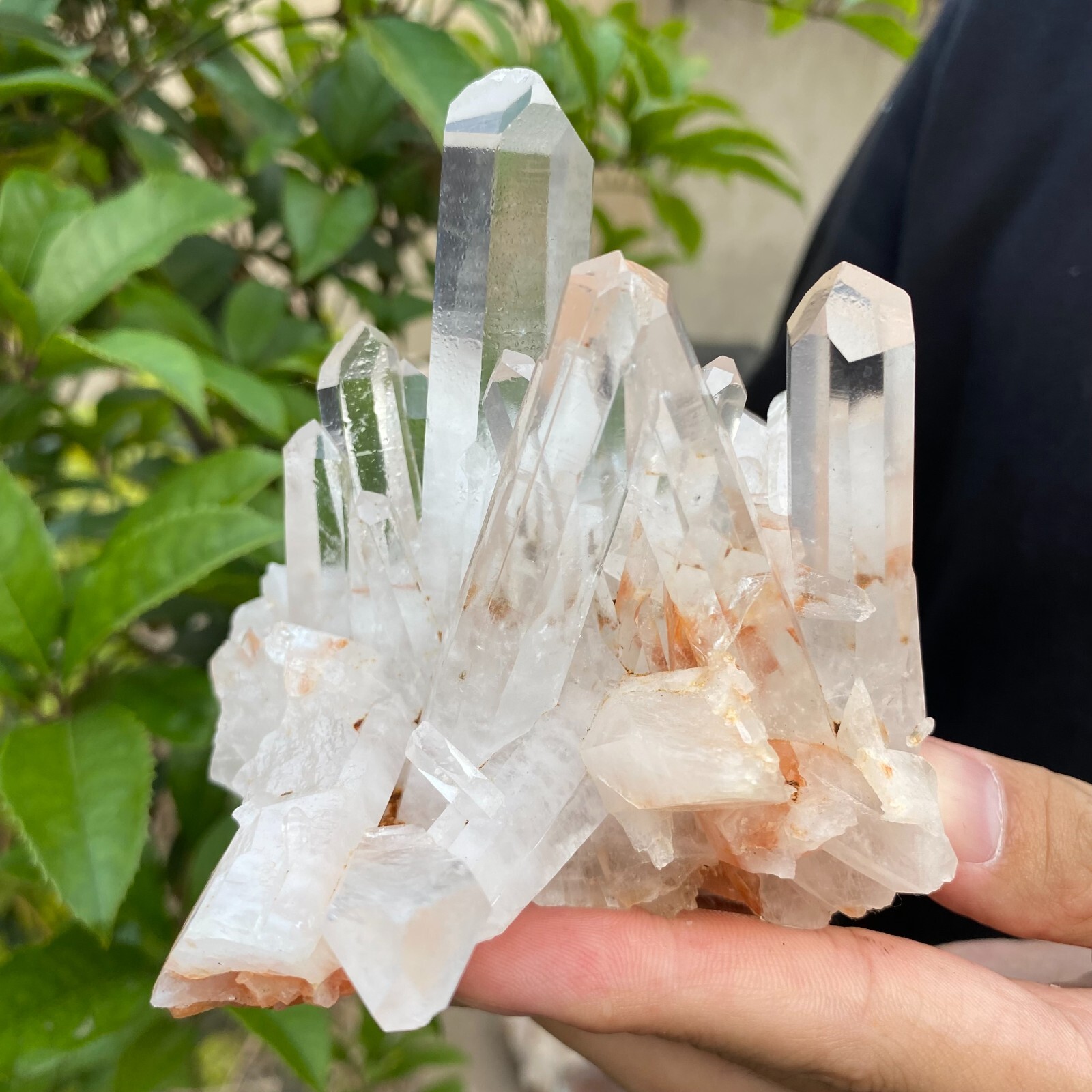 1.6lb Natural Clear White quart Crystal Cluster Raw Healing Specimen