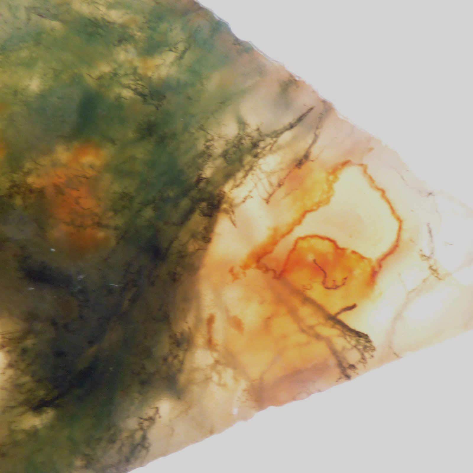 Red Green Moss Agate Slice UNPOLISHED For Collector or Lapidary 6.5cm x 3.5cm