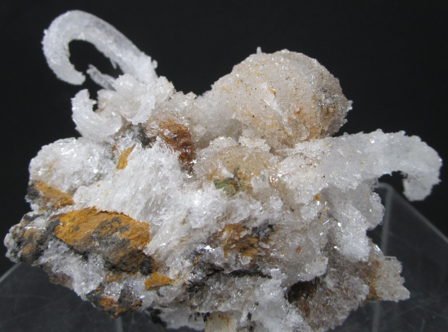 Awsome Frozen Kraken Ram’s Horn Selenite Mineral Specimen Morocco