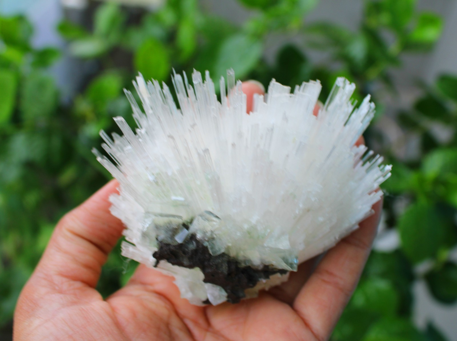 SCOLECITE FORMATION MINERALS SPECIMEN