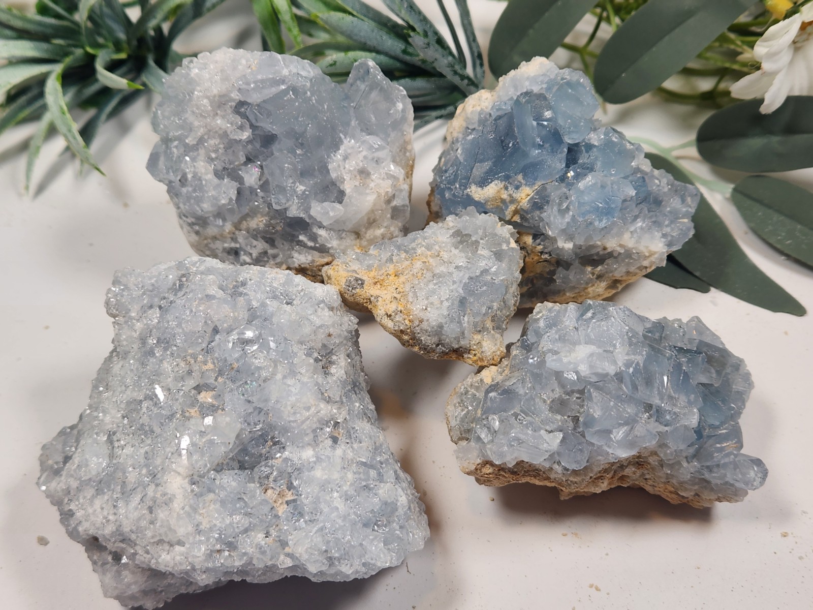 5pc Celestite 2 Ib Lot Crystal Clusters From Madagascar. Exact Specimens Cellot2