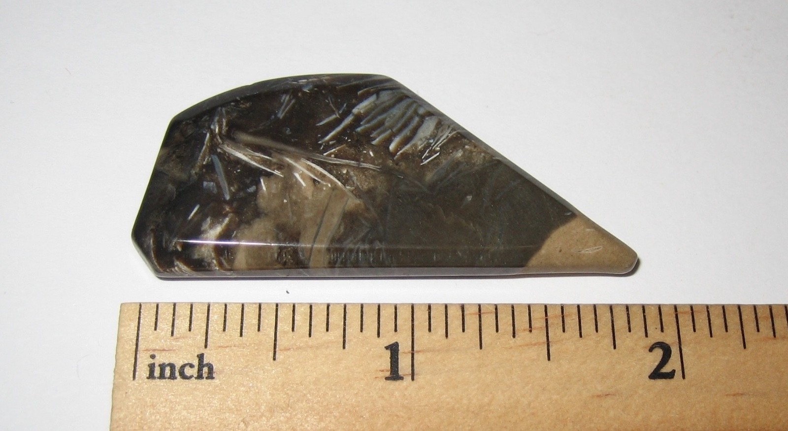1.9″ TUMBLED POLISHED CABOCHON STYLE FOSSIL FORAMINIFERA STONE INDONESIA 9.8g *1