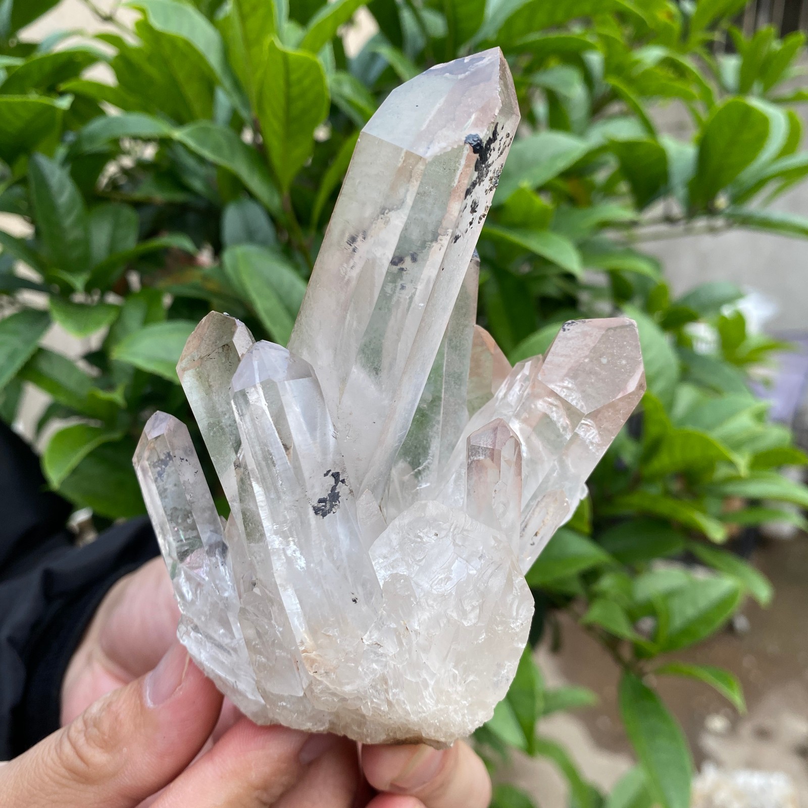 330g Natural Clear White Quartz Crystal Cluster Rough Healing Specimen