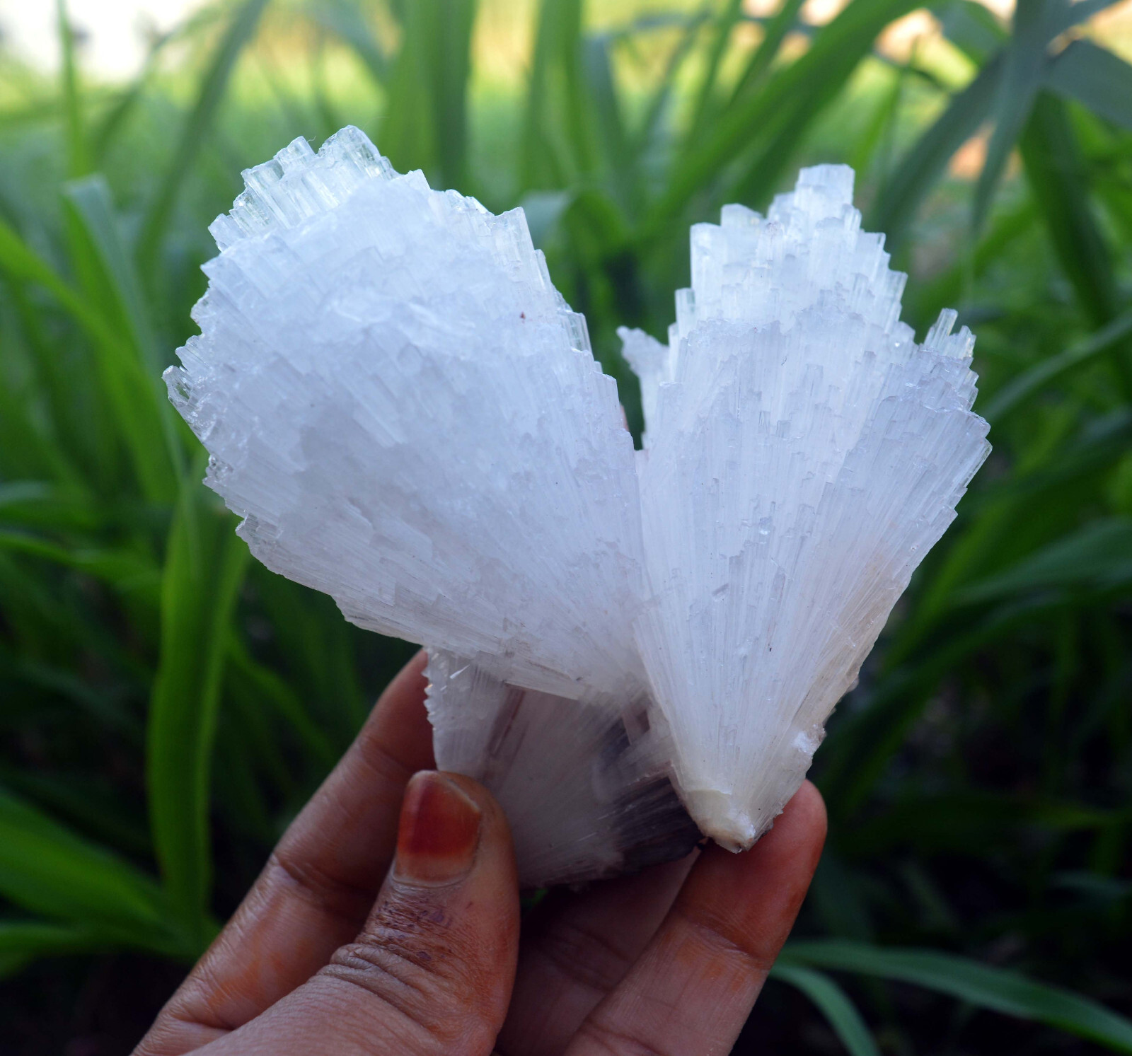 scolecite spray formation minerals specimen m-3