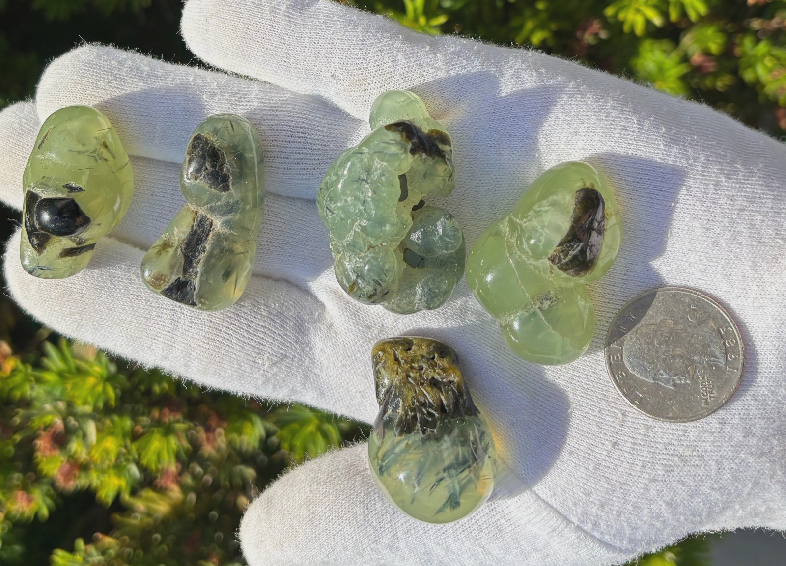 USA SALE 120g LOT 5 PREHNITE & EPIDOTE BOTRYOIDAL TUMBLES TUMBLE STONE STONES