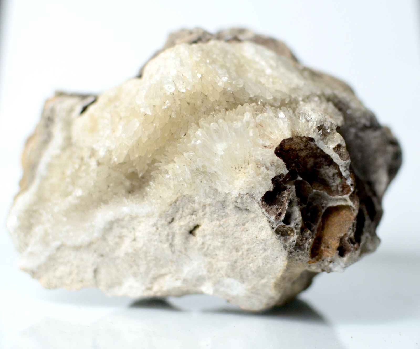Fluorescent Aragonite Needle Spray in Fossil Matrix | Crystal River, Florida