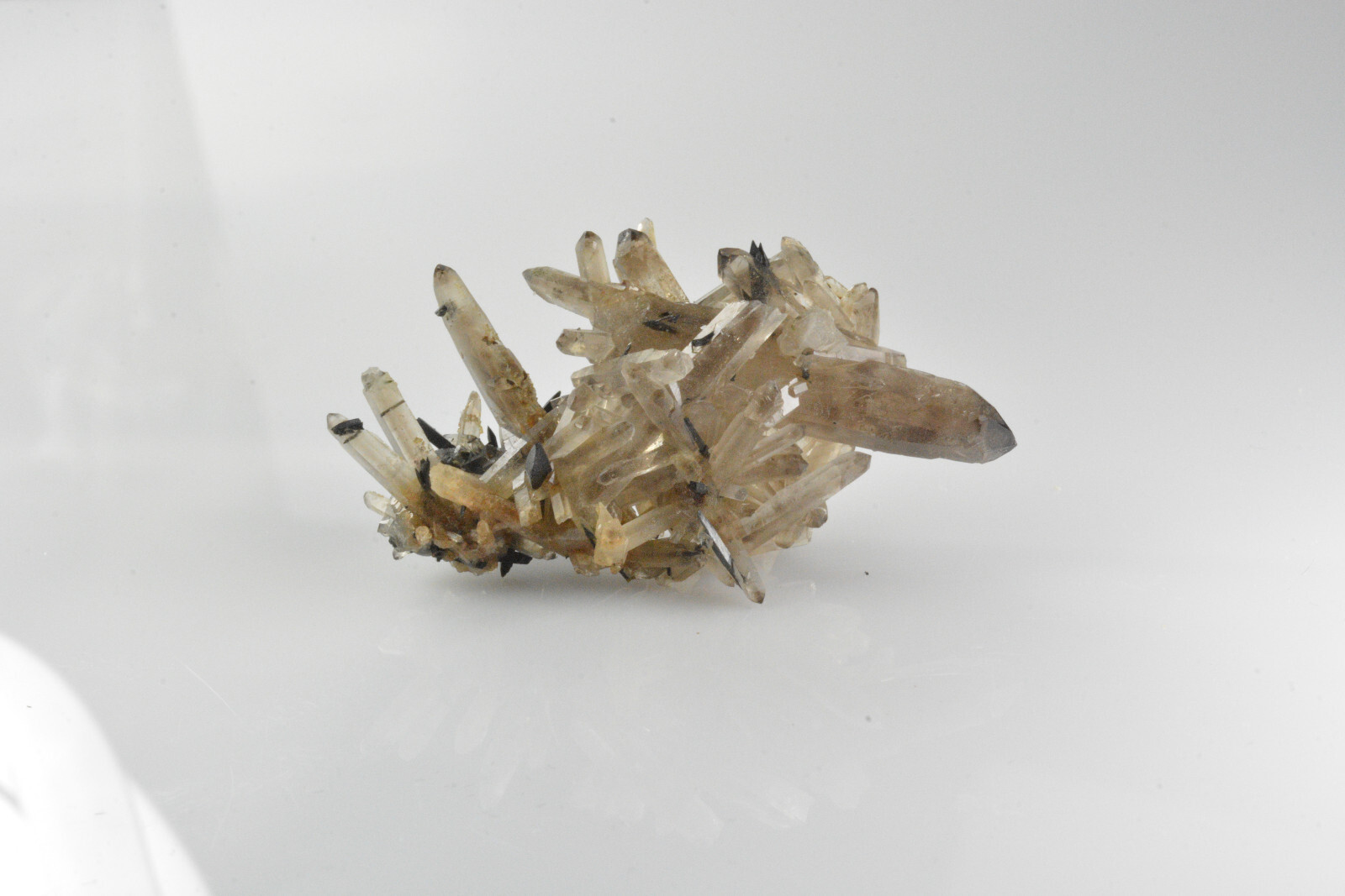 Smoky Quartz, Aegirine Mt Malowsa, Malawi 49x34mm