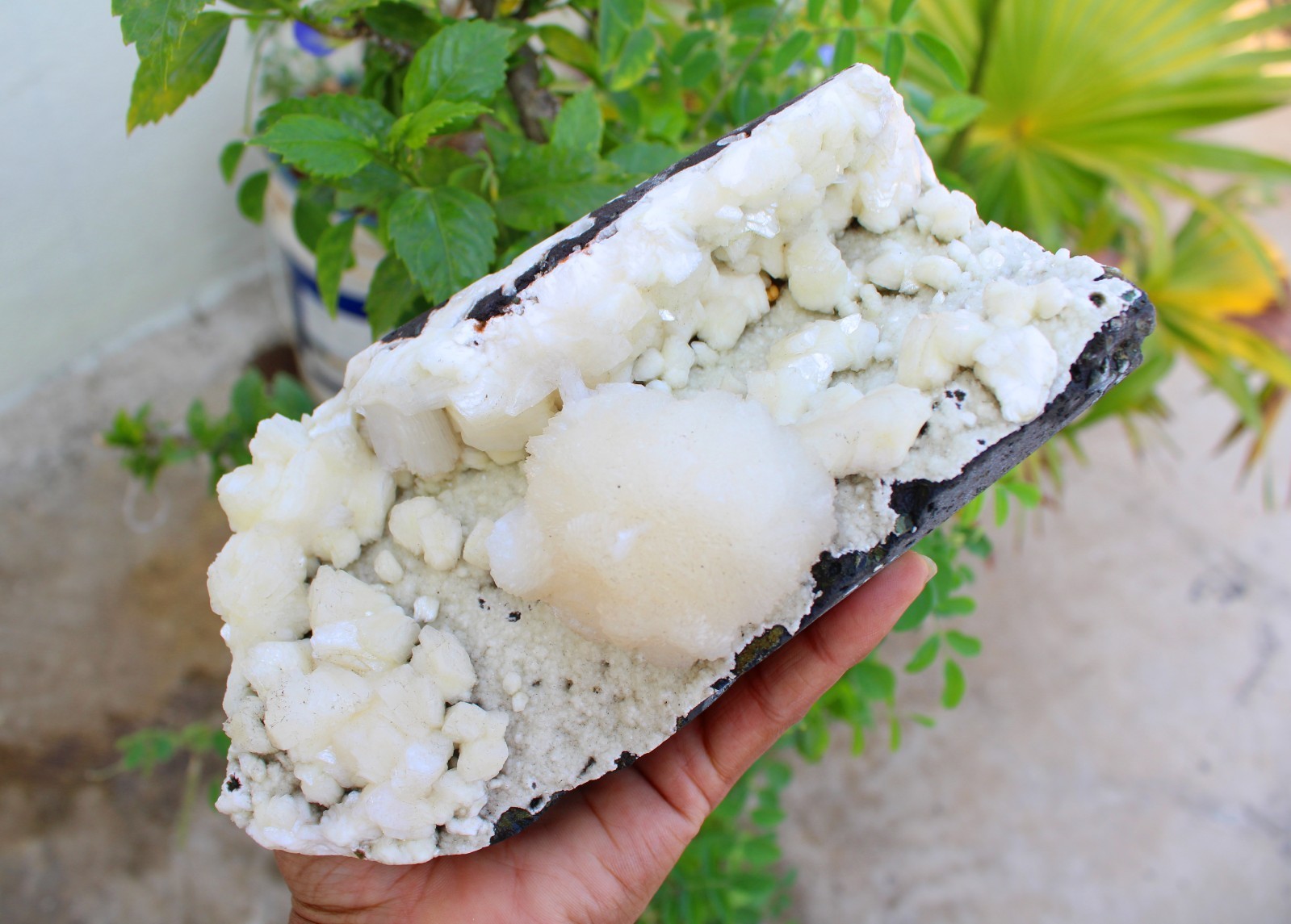 STILBITE w/ HEULANDITE GEODE MINERALS SPECIMEN #A43