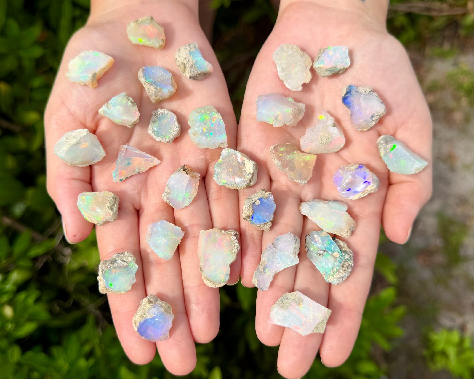 Natural Ethiopian Opal Rough Crystals, AA Grade Raw Opal Specimens – Choose Size