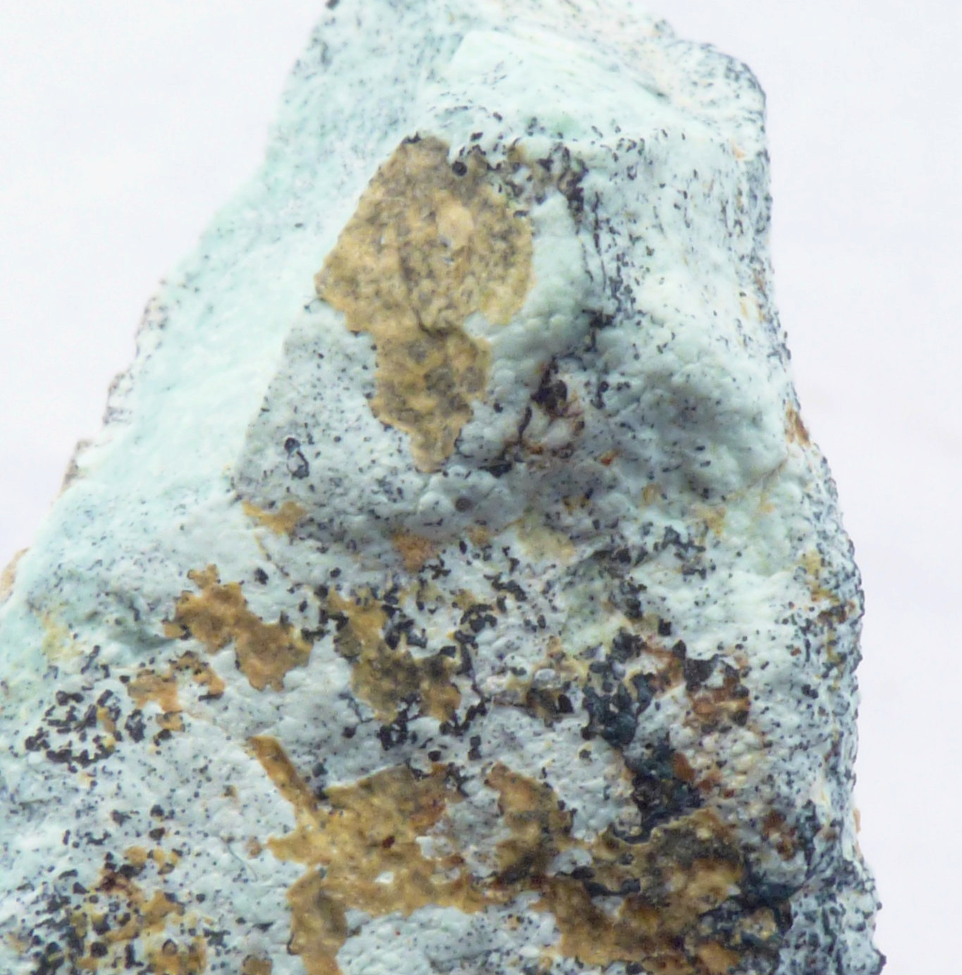 Solid Turquoise Mineral Specimen Island Park Idaho Natural Unpolished 4cm 19g
