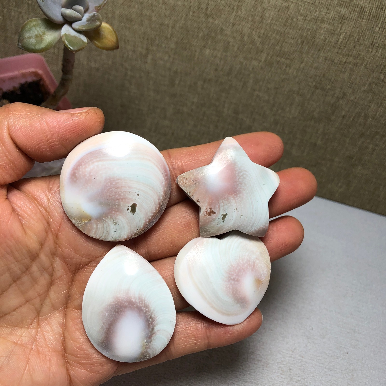 4pcs Rare sun shell Reiki Shiva Eye ocean semi-precious stone 74g A2754