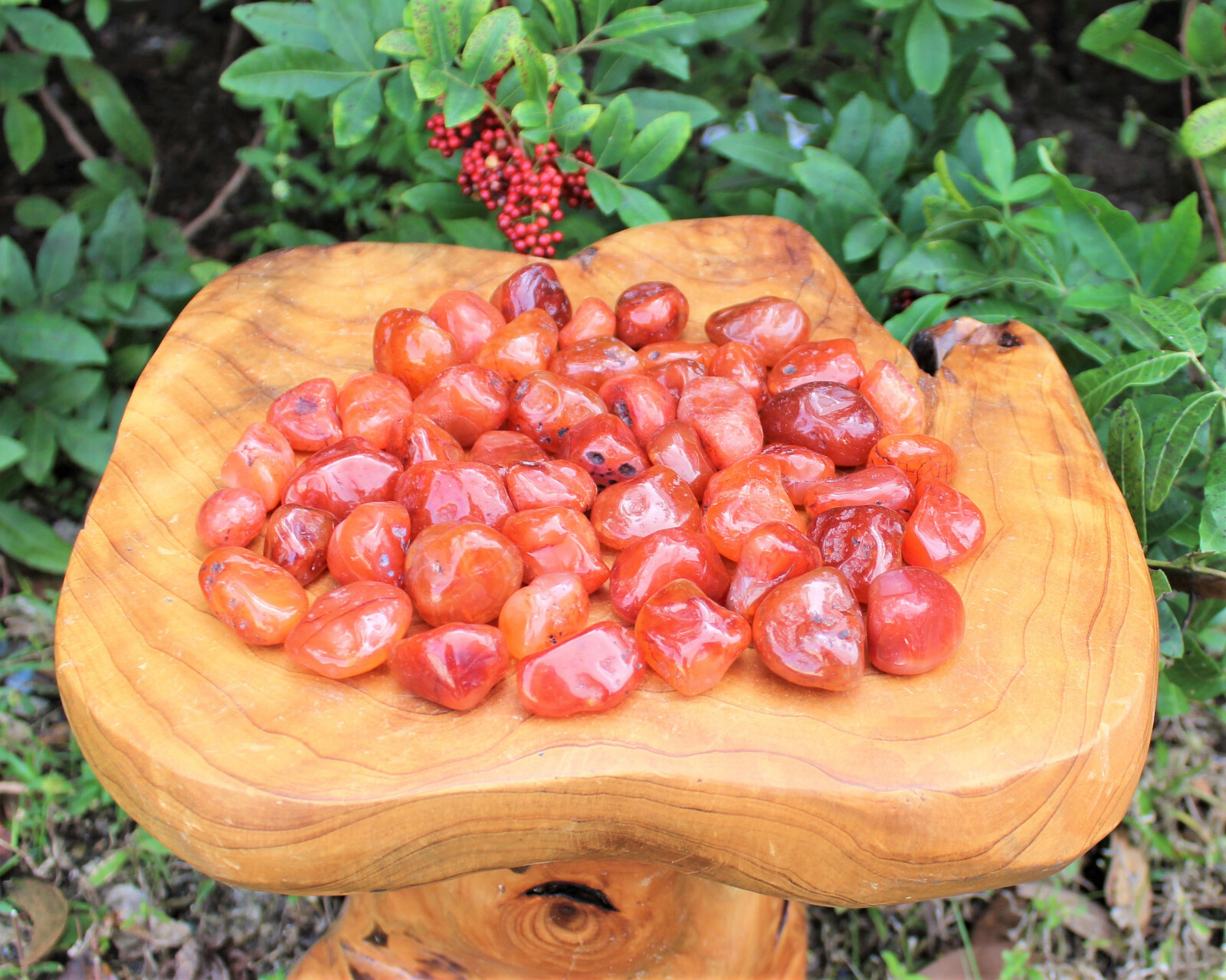 2 Carnelian Tumbled Stones, Medium (Crystal Healing Gemstone Reiki) US Seller