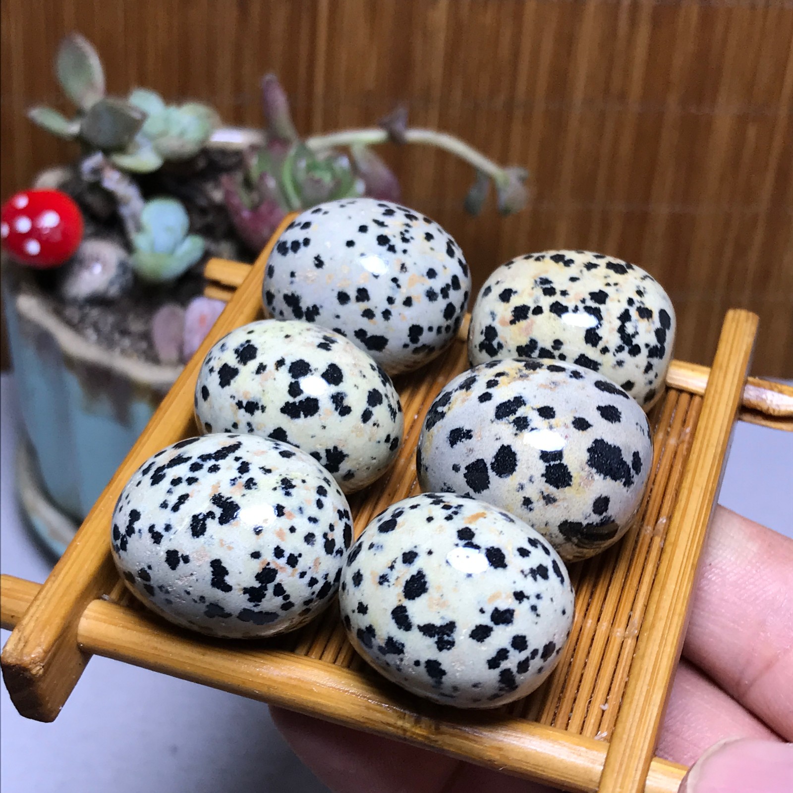 28-22-21mm 6Pcs Natural spotted stone Crystal gemstone Mineral Specimen A4402