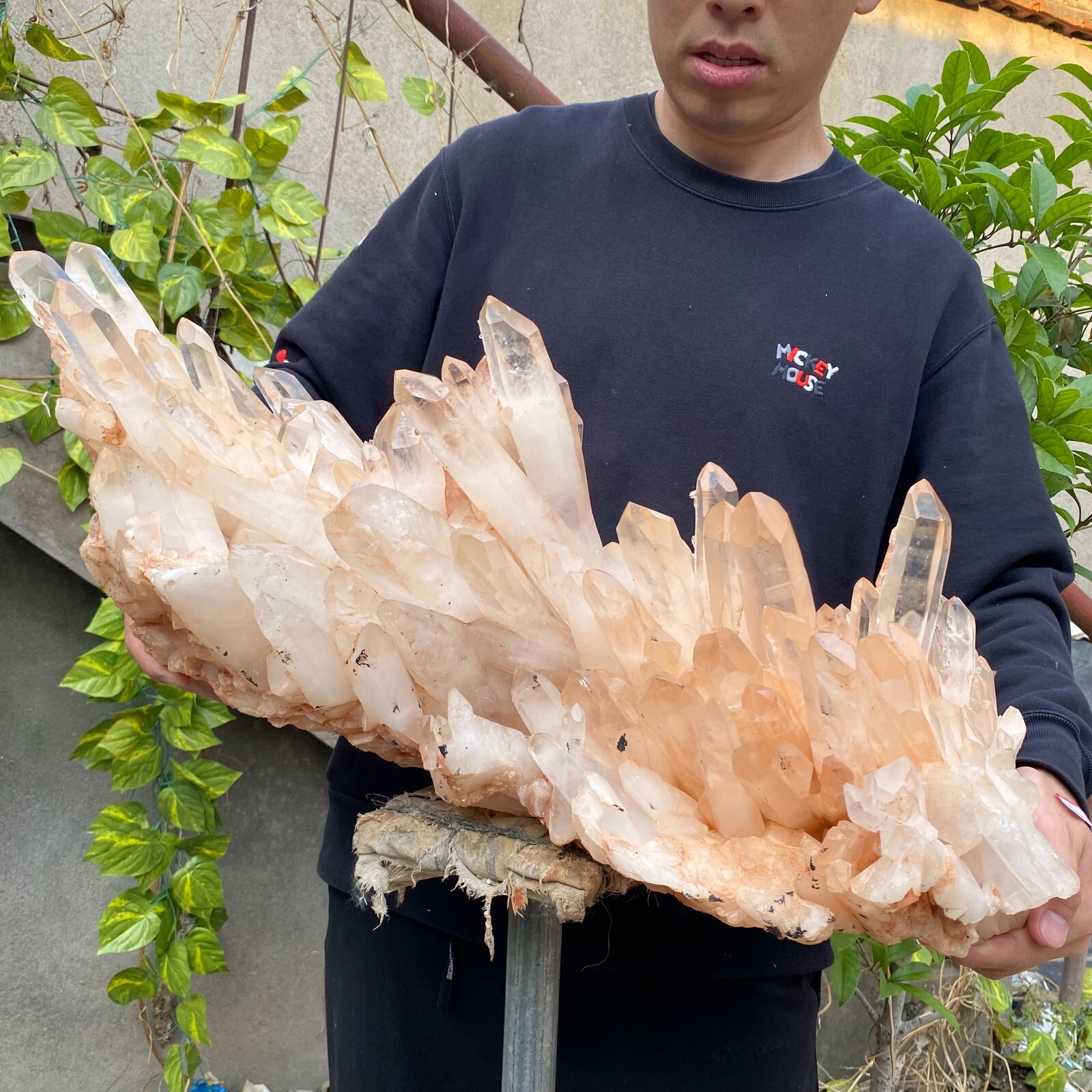 81.6lb Natural Clear White quart Crystal Cluster Raw Healing Specimen