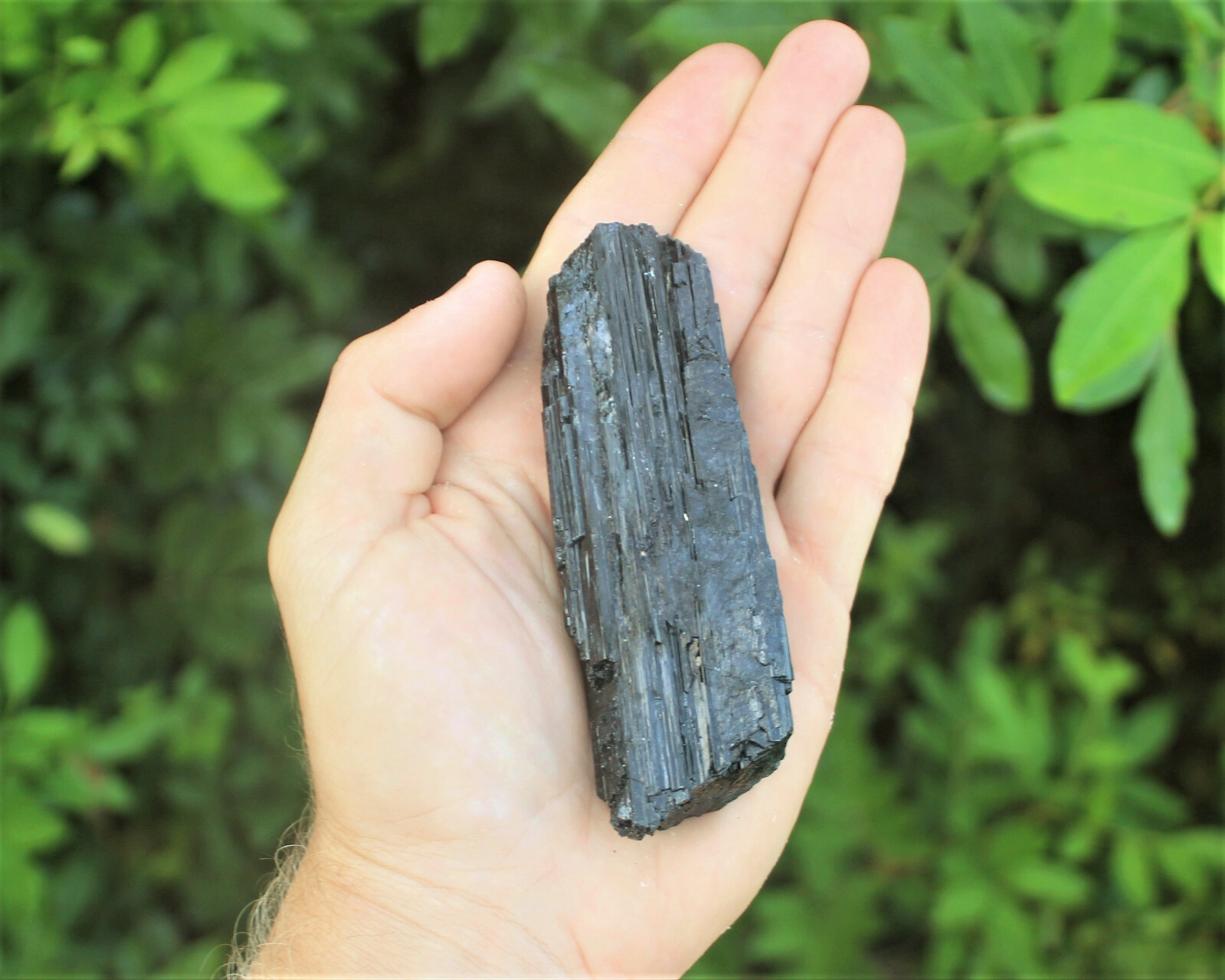 Large Black Tourmaline PREMIUM EXTRA A GRADE Shiny Rough Rod Log (3 – 4 oz)