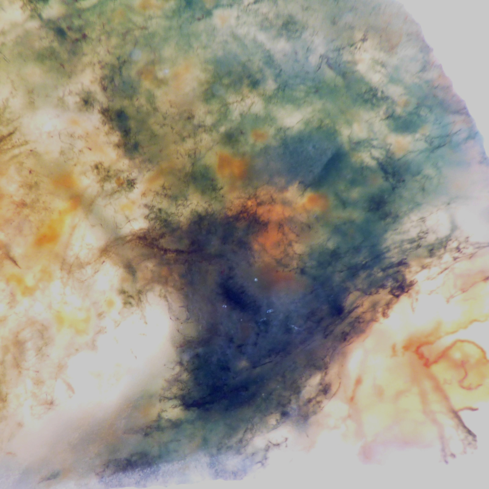 Red Green Moss Agate Slice UNPOLISHED For Collector or Lapidary 6.5cm x 3.5cm