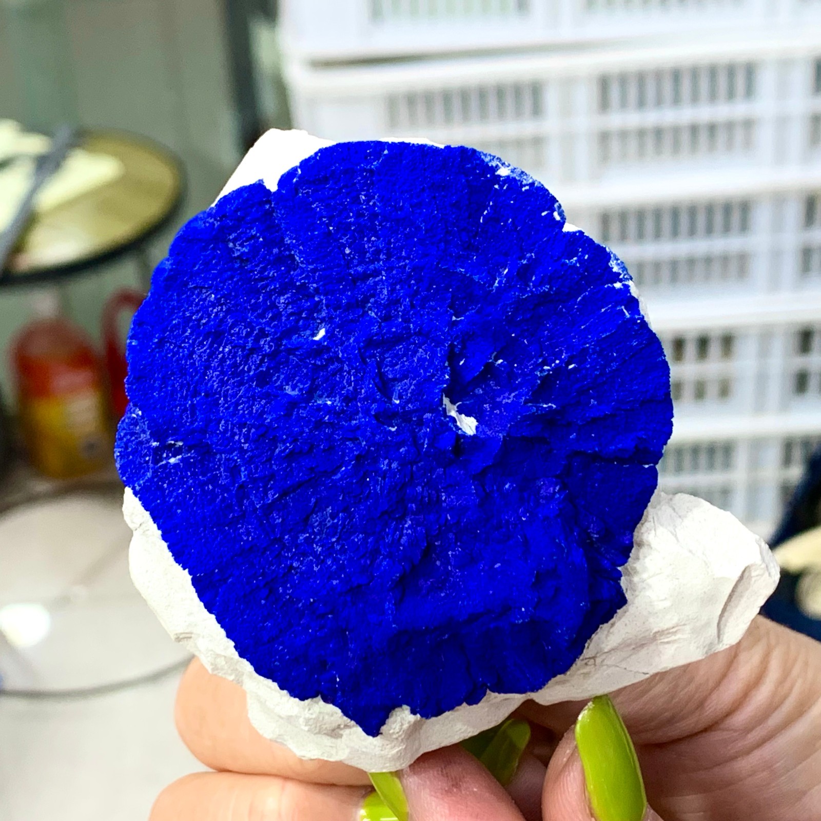 147G Sunflower azurite Fantastic Azurite Suns On Kaoline from Malbunka Australia