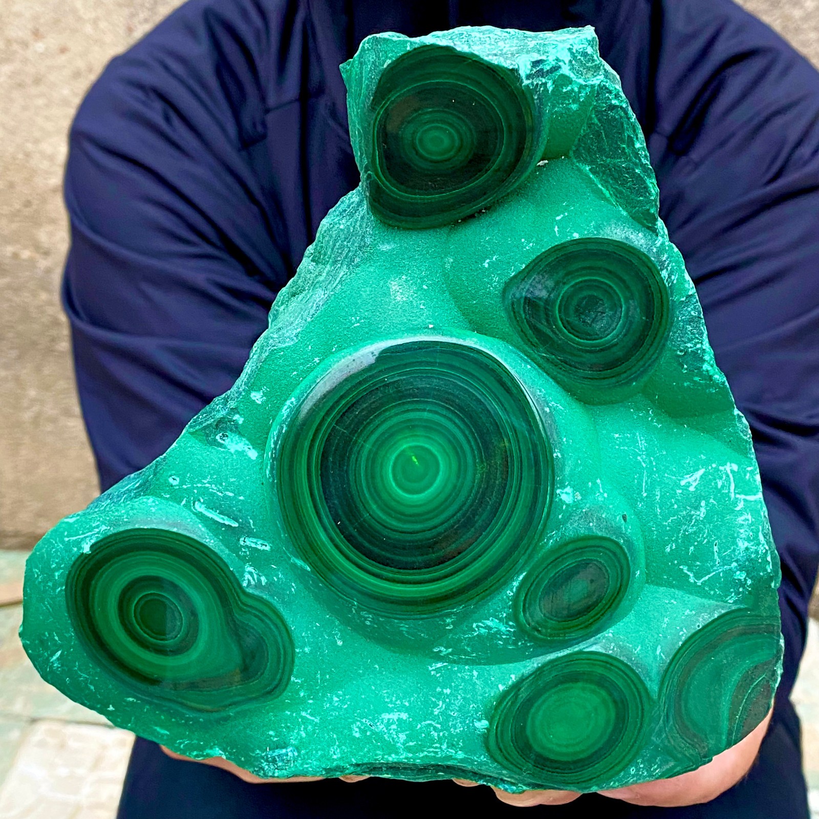 5.3LB Natural tortoise Malachite transparent cluster coarse mineral sample