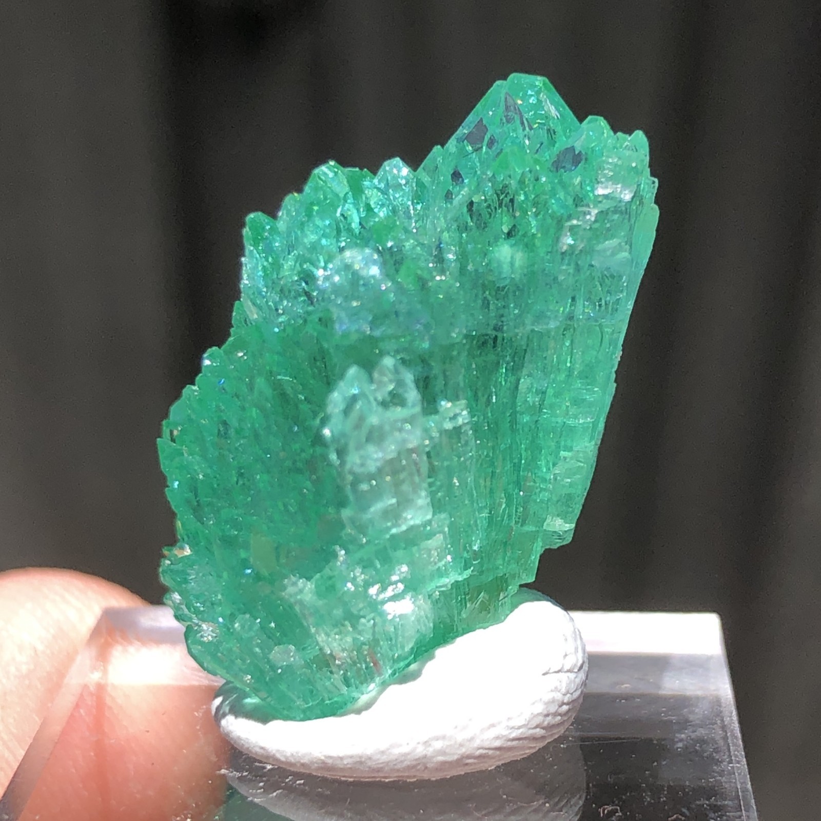 2.4cm Emerald Green Apophyllite Crystals with Stilbite from Madhya Pradesh, Indi